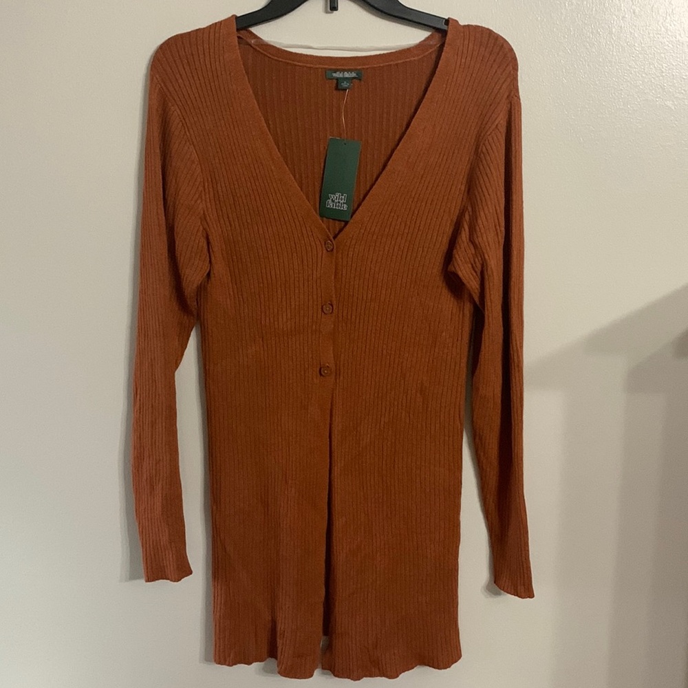 Wild Fable Rust Cardigan Sweater